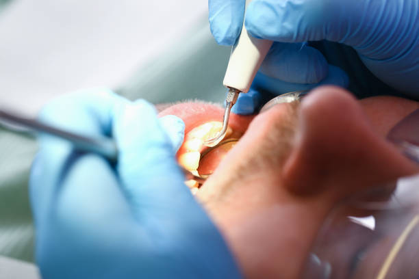 Best Emergency Cosmetic Dentistry in Heflin, AL